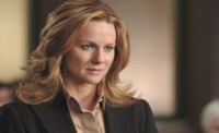 Laura Linney plays the role of defense attorney Erin Bruner