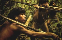 Waodani warriors on the hunt