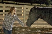 Alison Lohman as Katy, who becomes enamored with a wild mustang she found