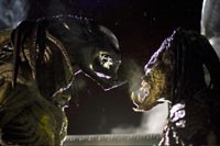 The PredAlien and a Predator face off