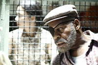 Danny Glover as the Man with the Black Eye Patch