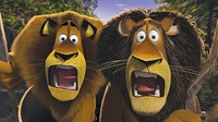 Alex the lion (Ben Stiller) and alpha lion Zuba (Bernie Mac)