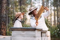 August (Queen Latifah) teaches Lily about bees, and life