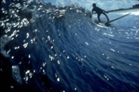 Adam Paskowitz catching a wave at age 8