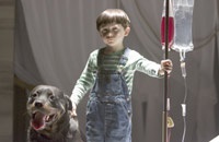 A boy, his IV, and his Rottweiler, which happens to be a hound from hell
