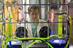 William H. Macy as Dr. Noseworthy