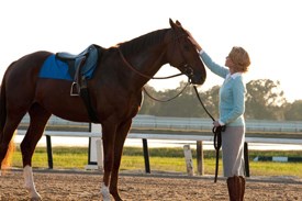 Diane Lane as Penny Chenery, who had a special bond with the horse