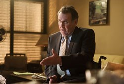 Tom Wilkinson as Stephan Gold