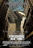 Synecdoche, New York Synecdoche, New York