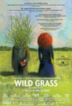 Wild Grass Wild Grass