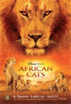 African Cats African Cats