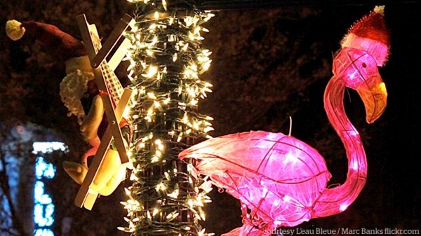 Twinkly Lights in the Palm Tree: Why I Love Christmas in Miami