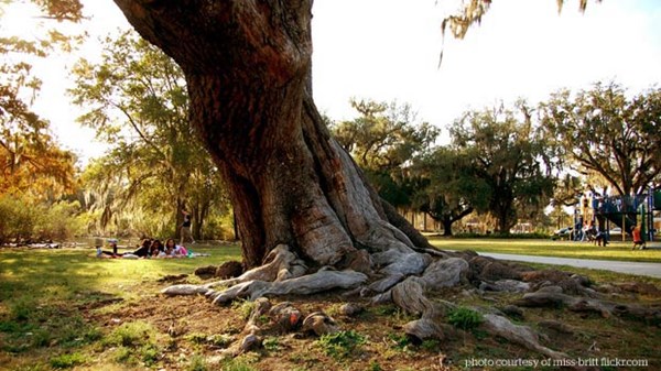 The Spiritual Discipline of Staying Put: Planting Roots in a Placeless Culture The Spiritual Discipline of Staying Put: Planting Roots in a Placeless Culture
