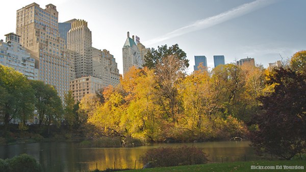 Why Every City Needs a Central Park Why Every City Needs a Central Park