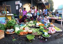 Proposed Food Aid Reforms Put International Programs at Risk Proposed Food Aid Reforms Put International Programs at Risk