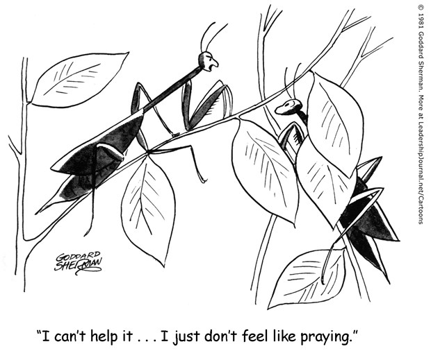 Praying Mantis Has no Desire