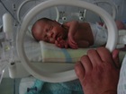 Infant in Incubator