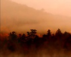 Golden Mountain Mist