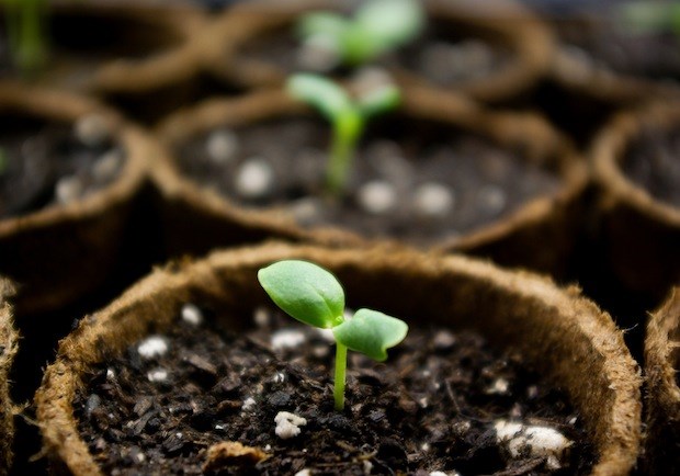 Monday is for Missiology: 3 Questions Local District Leaders Should Ask About Church Planting Monday is for Missiology: 3 Questions Local District Leaders Should Ask About Church Planting