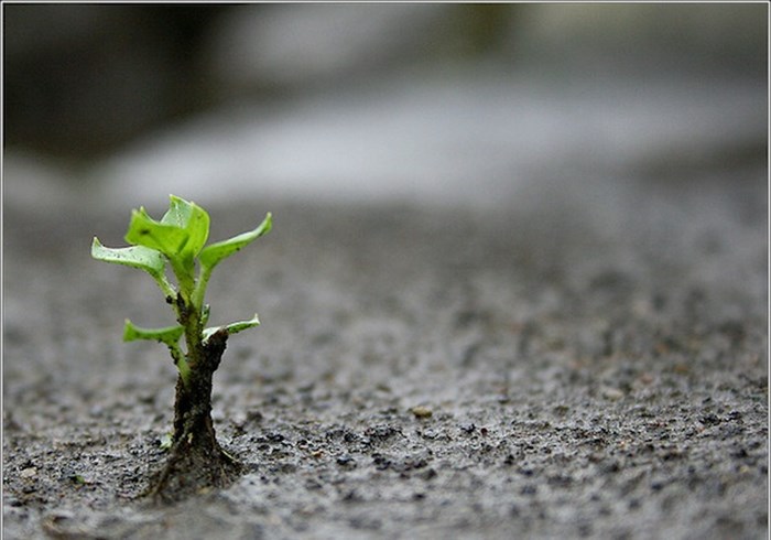 Monday is for Missiology: 3 More Questions Local District Leaders Should Ask About Church Planting Monday is for Missiology: 3 More Questions Local District Leaders Should Ask About Church Planting