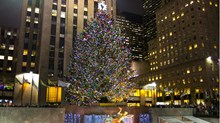 Christmas Is For Everyone Christmas Is For Everyone