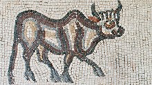 The Toracle: Oxen Law The Toracle: Oxen Law