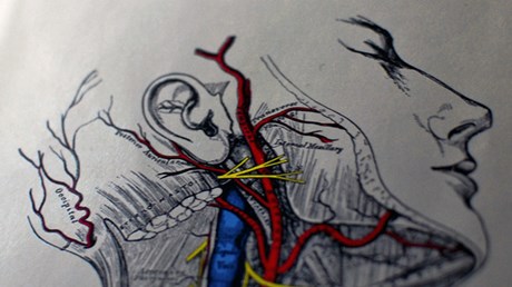 Seeking Eyes and Ears