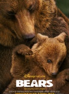 Bears Bears