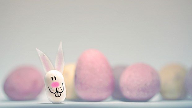 What Easter Has to Do with My Everyday Life What Easter Has to Do with My Everyday Life
