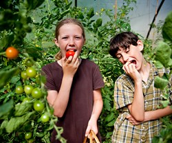 Leah's daughter, Maya, and her friend Isaac enjoy eating tomatoes straight from the vine.