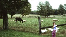 How Farm Life Taught Our Kids About Death How Farm Life Taught Our Kids About Death