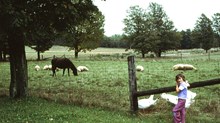 How Farm Life Taught Our Kids About Death