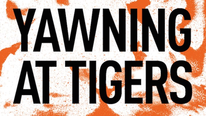 Yawning at Tigers: An Interview with Drew Dyck Yawning at Tigers: An Interview with Drew Dyck