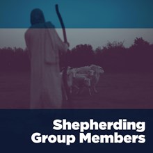 Shepherding Group Members Shepherding Group Members