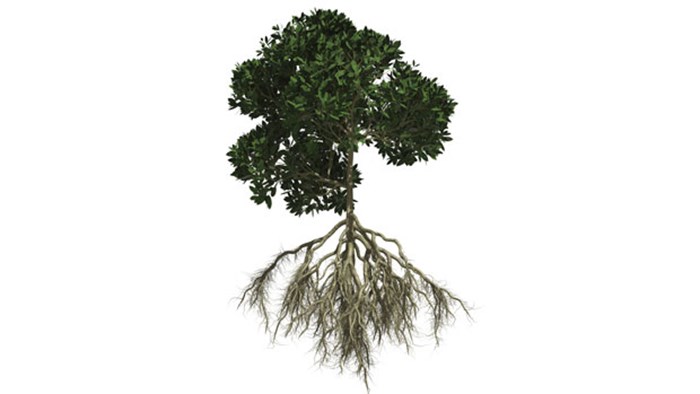 Bounded Place, Rooted People Bounded Place, Rooted People