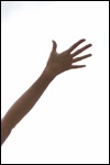 Worship Worship