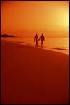 Joyfully Ever After Joyfully Ever After
