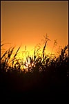 Silence Is Golden Silence Is Golden