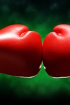 Your Spouse—Friend or Foe? Your Spouse—Friend or Foe?