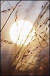 1 Corinthians: Basic Christian Living 1 Corinthians: Basic Christian Living