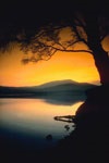 Revelation: Looking Forward to Heaven Revelation: Looking Forward to Heaven