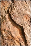 2 Corinthians: Hard Knocks, Unbreakable Faith 2 Corinthians: Hard Knocks, Unbreakable Faith