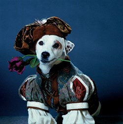 Wishbone as, apparently, a courtier from a French novel.