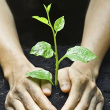Healthy Ministries Have Healthy and Growing Leaders Healthy Ministries Have Healthy and Growing Leaders