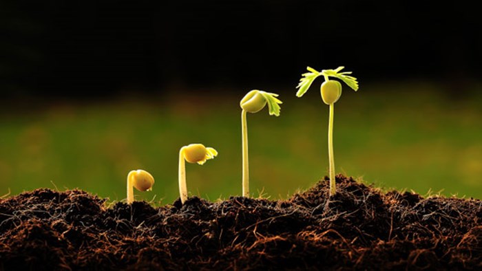 Growing Into Life Growing Into Life