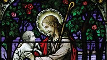 Can You See Too Much Jesus in the Bible? Can You See Too Much Jesus in the Bible?