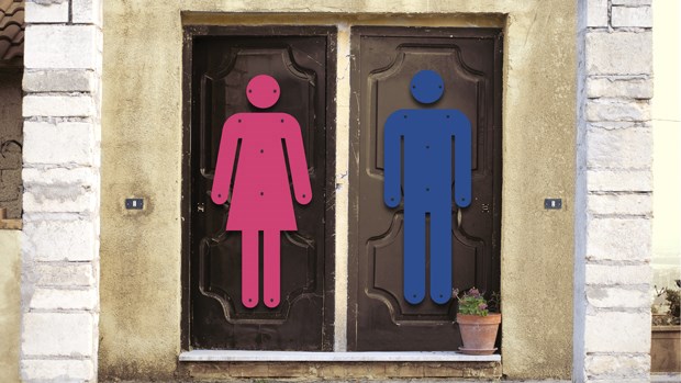 Why Avoid Talking about Gender? Why Avoid Talking about Gender?