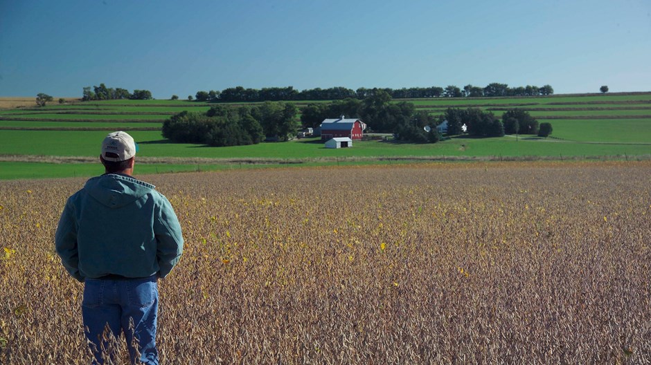 All Men Should Be Farmers