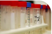 Courtesy of Stemcell.ny.gov Courtesy of Stemcell.ny.gov