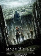 The Maze Runner